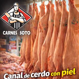 Canal de Cerdo
